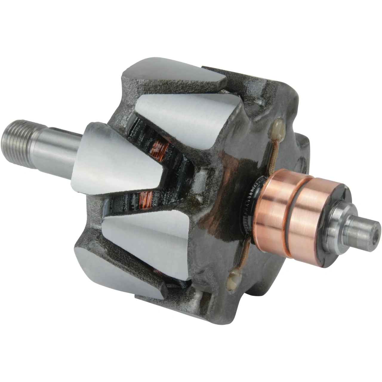 Anker/Rotor