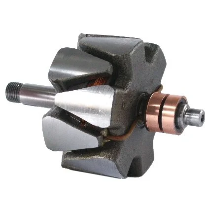 Anker/Rotor