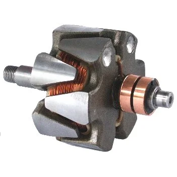 Anker/Rotor