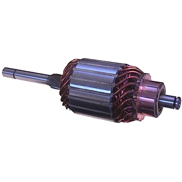 Anker/Rotor