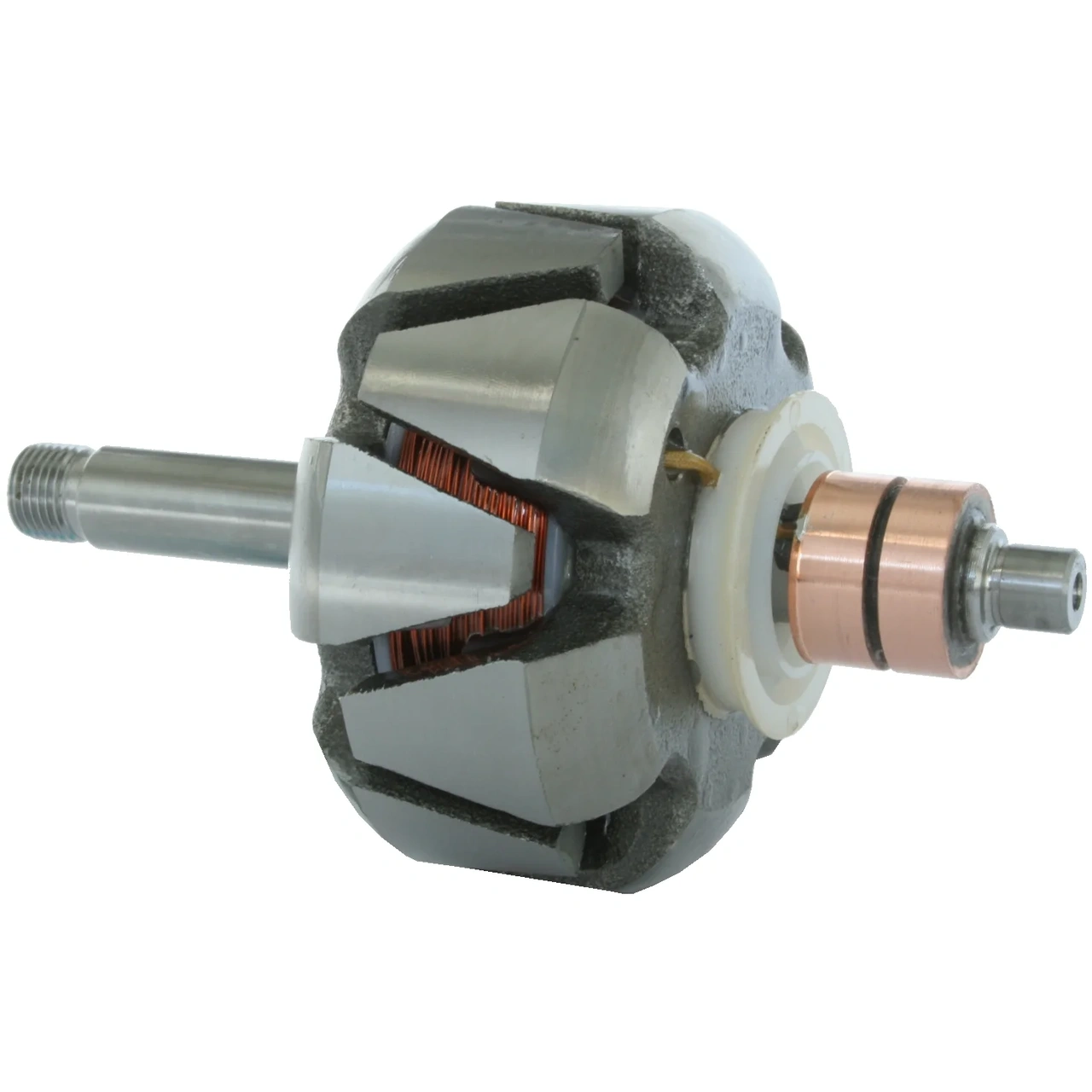 Anker/Rotor