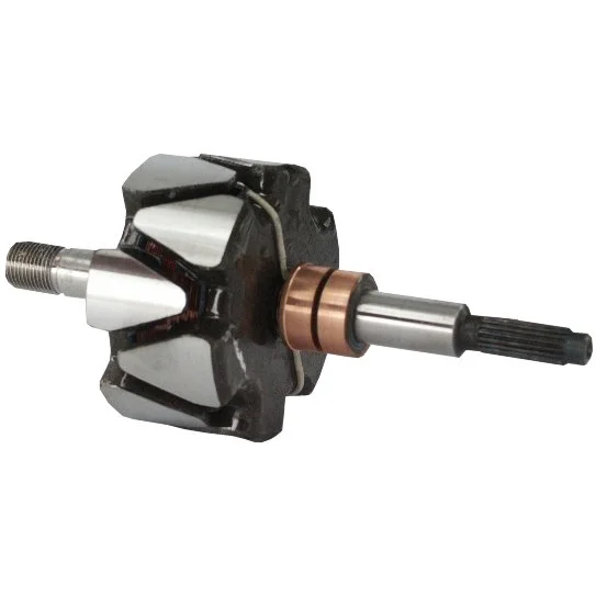Anker/Rotor