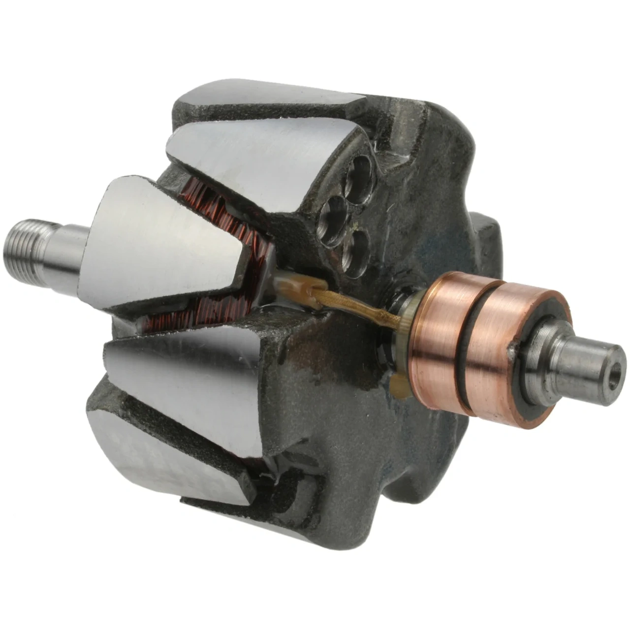 Anker/Rotor
