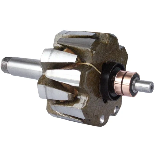 Anker/Rotor
