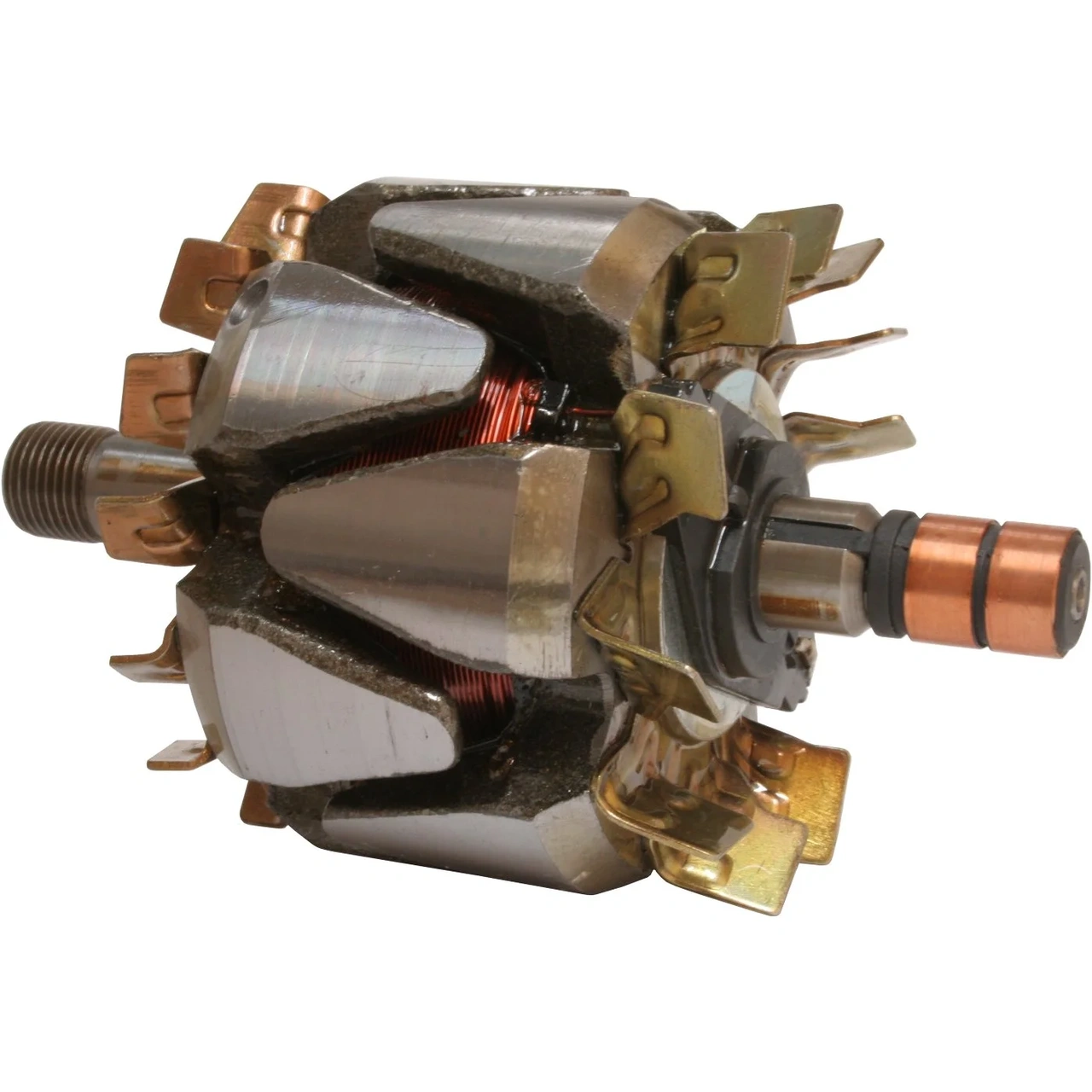 Anker/Rotor