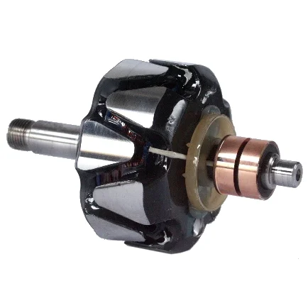 Anker/Rotor