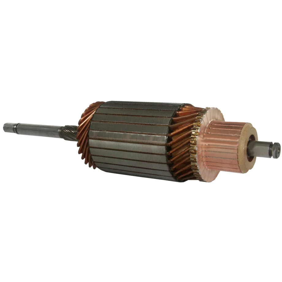 Anker/Rotor