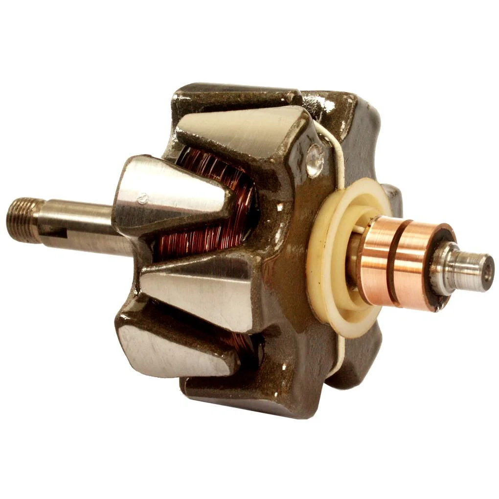 Anker/Rotor