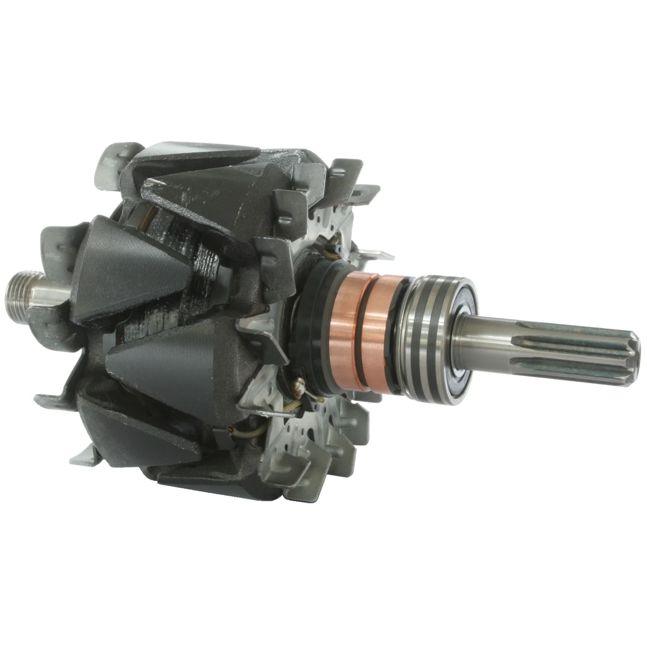 Anker/Rotor