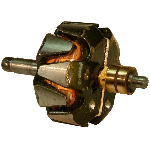 Anker/Rotor