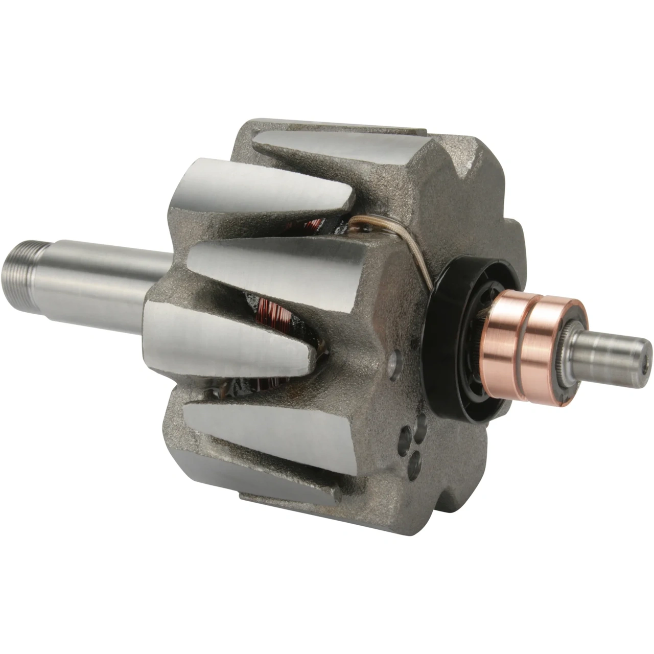 Anker/Rotor
