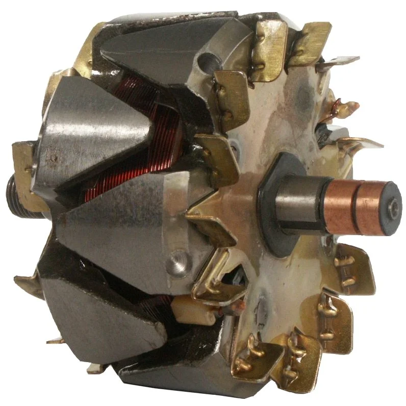 Anker/Rotor