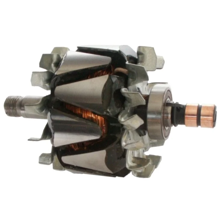 Anker/Rotor