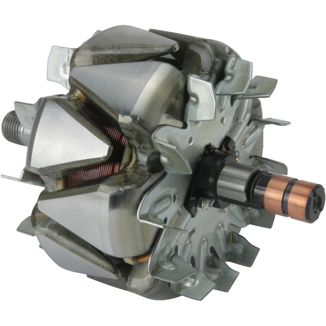 Anker/Rotor