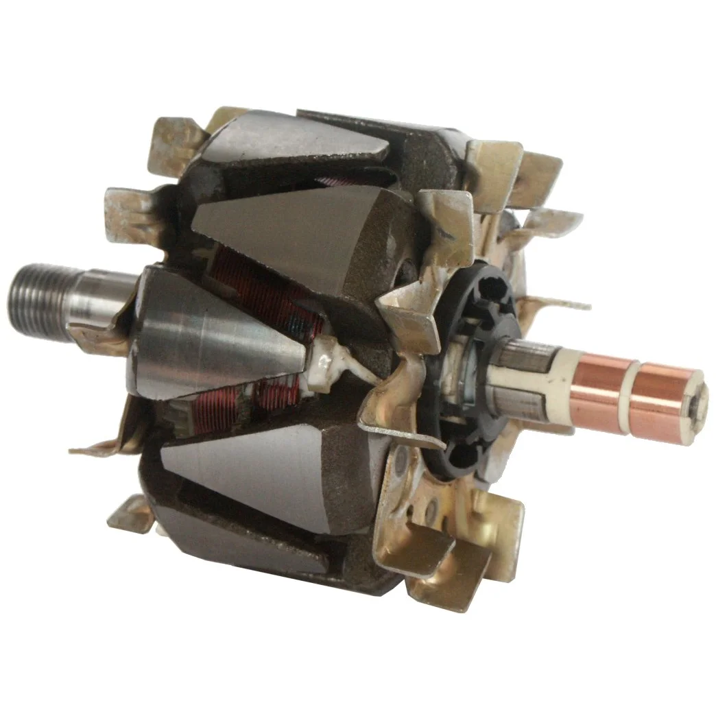 Anker/Rotor