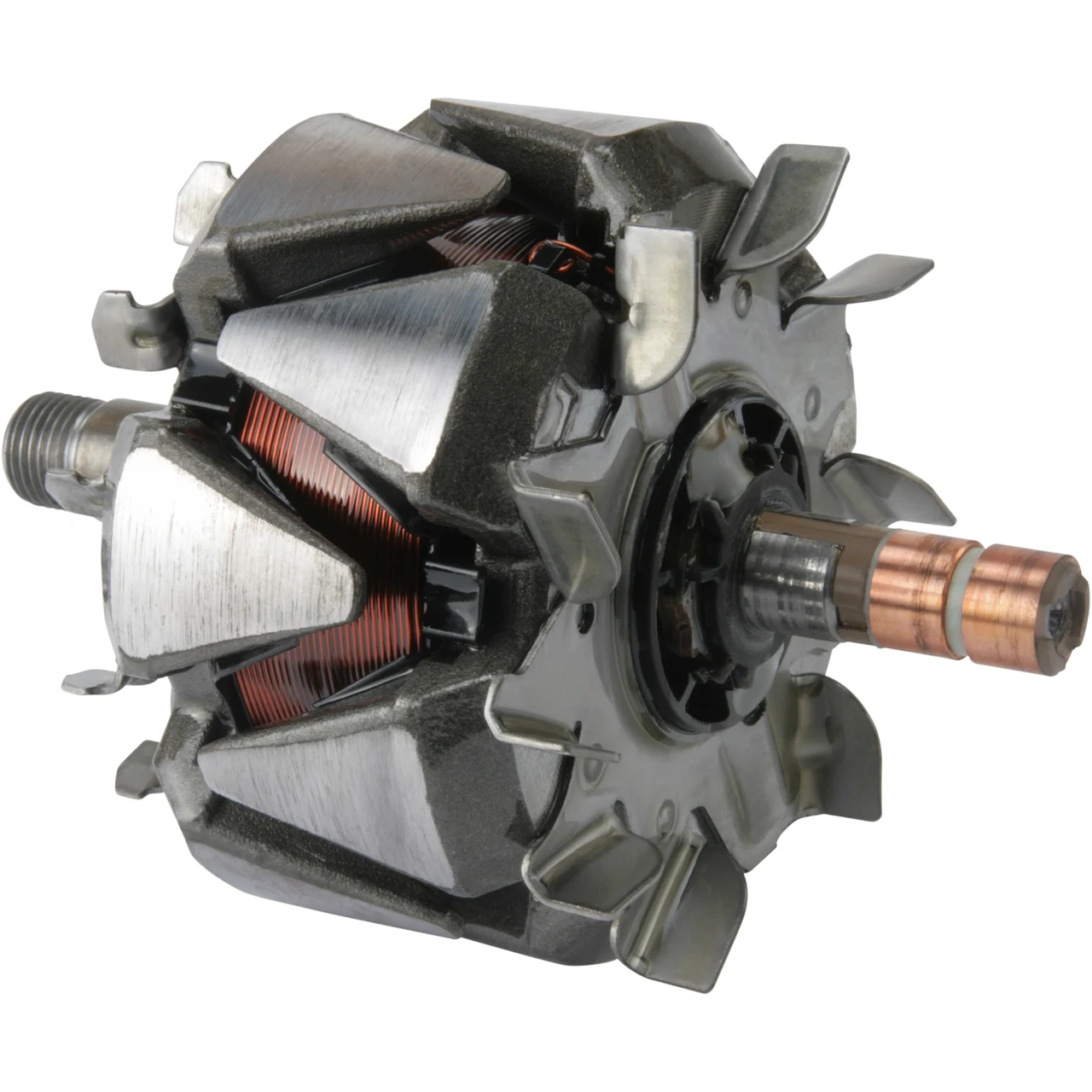Anker/Rotor