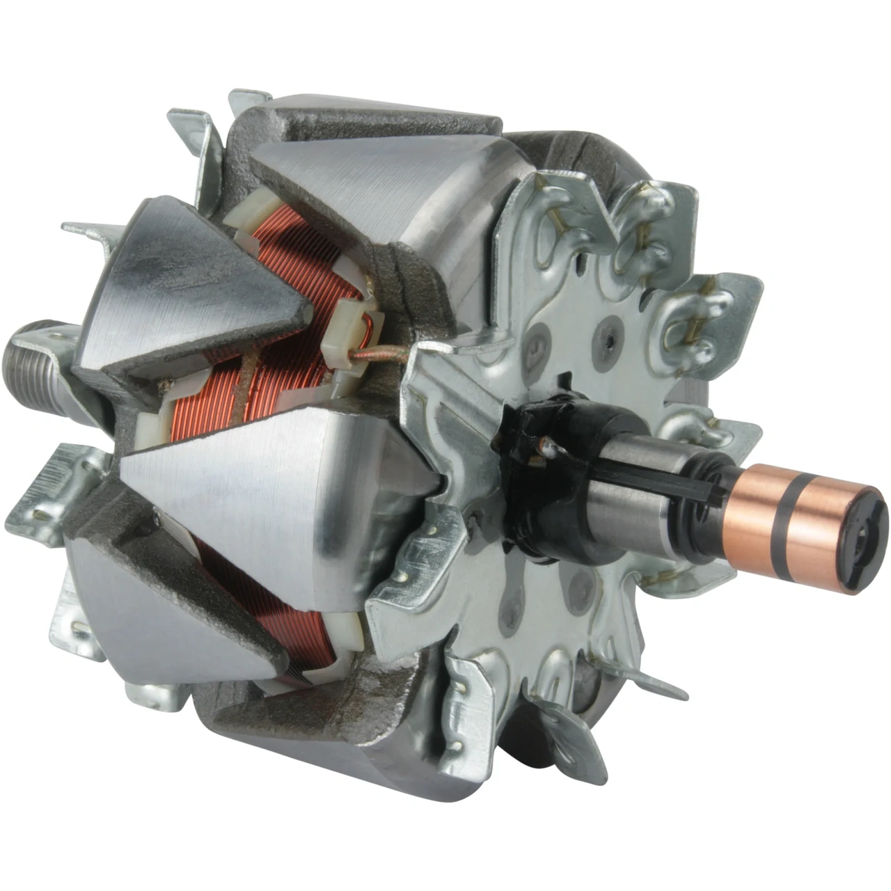 Anker/Rotor