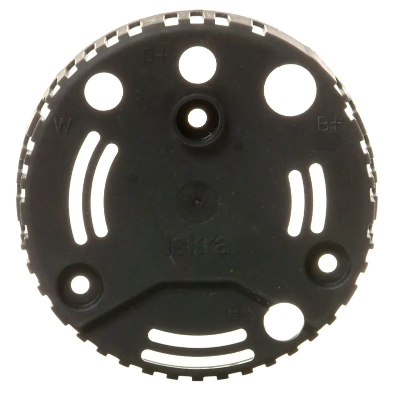 Endeblad, Plast Iskra