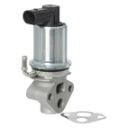 EGR Ventil passer VAG