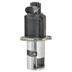 EGR Ventil Opel/Renault/Nissan